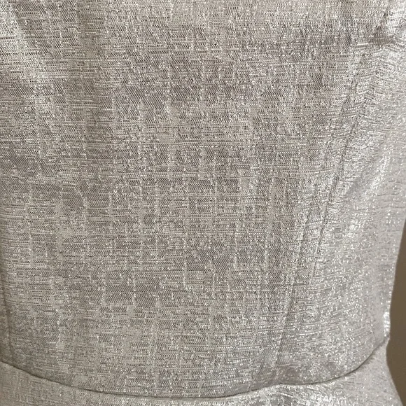 NWT EXPRESS Metallic Silver A-Line Strapless Party Dress Size 6 - Picture 2 of 12